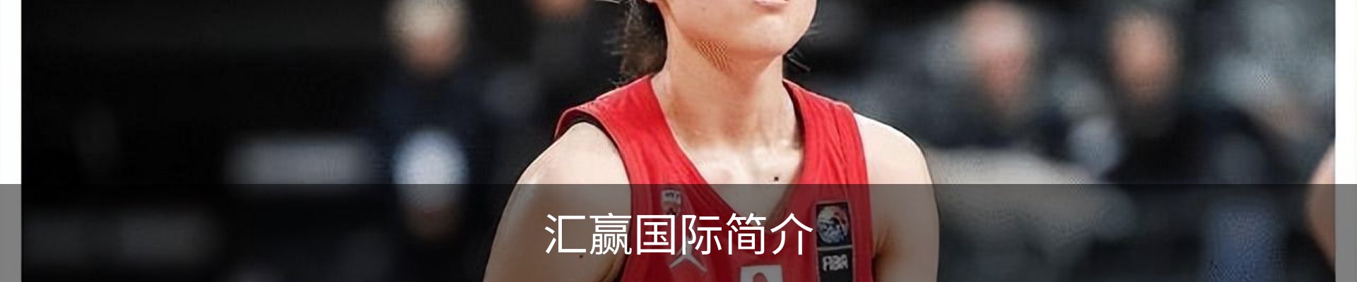 汇赢国际简介